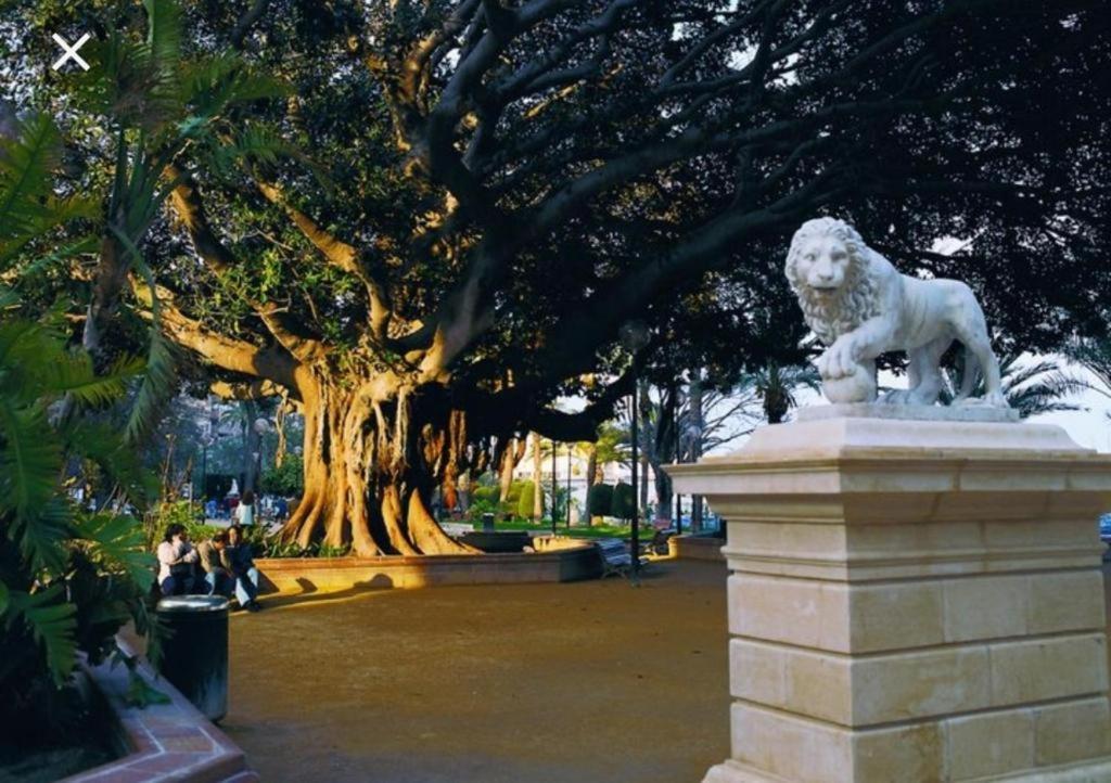 אליקאנטה The Terrace Canalejas מראה חיצוני תמונה